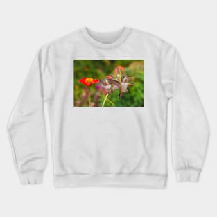 Guarding The Zinnia Crewneck Sweatshirt